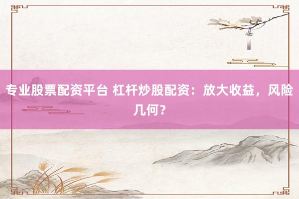 专业股票配资平台 杠杆炒股配资：放大收益，风险几何？