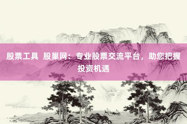 股票工具  股巢网：专业股票交流平台，助您把握投资机遇