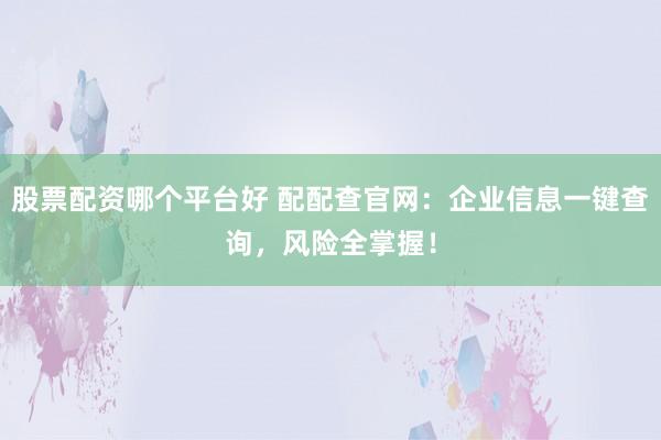 股票配资哪个平台好 配配查官网：企业信息一键查询，风险全掌握！