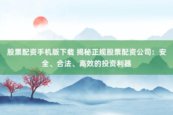 股票配资手机版下载 揭秘正规股票配资公司：安全、合法、高效的投资利器