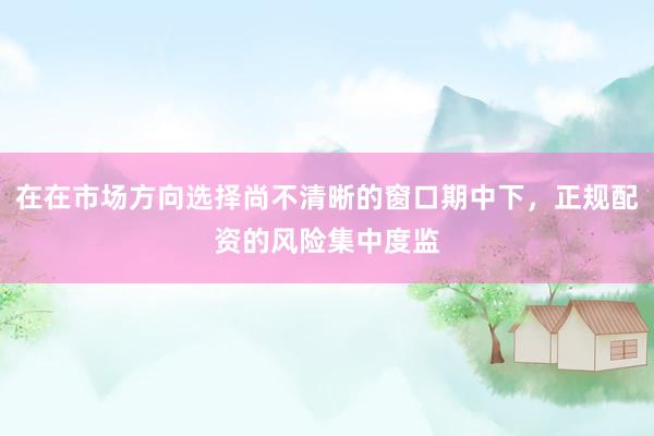 在在市场方向选择尚不清晰的窗口期中下，正规配资的风险集中度监
