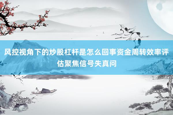 风控视角下的炒股杠杆是怎么回事资金周转效率评估聚焦信号失真问