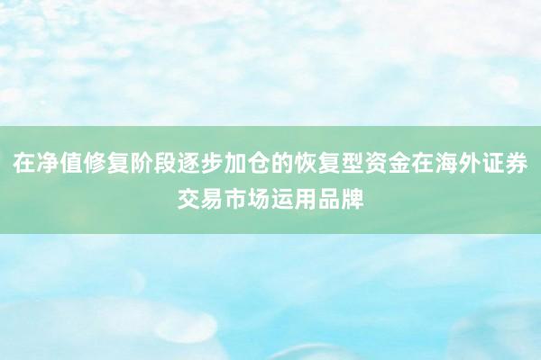 在净值修复阶段逐步加仓的恢复型资金在海外证券交易市场运用品牌