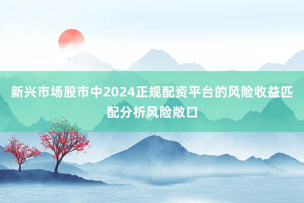 新兴市场股市中2024正规配资平台的风险收益匹配分析风险敞口