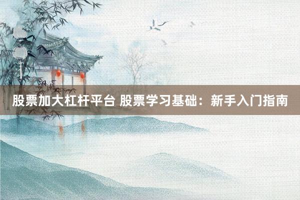 股票加大杠杆平台 股票学习基础：新手入门指南
