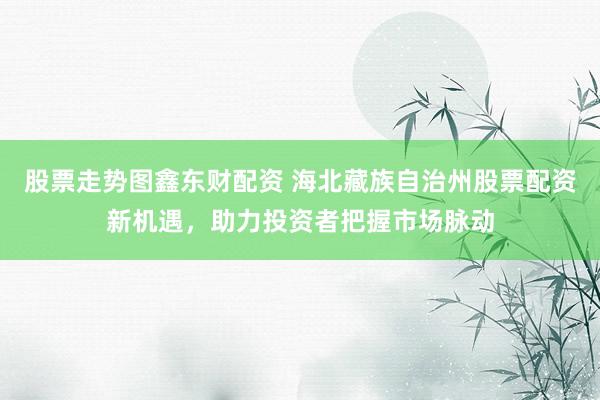 股票走势图鑫东财配资 海北藏族自治州股票配资新机遇，助力投资者把握市场脉动